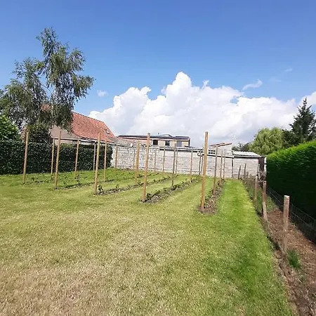 Vakantiehuis 'T Wijngaardje Merkem Extérieur photo